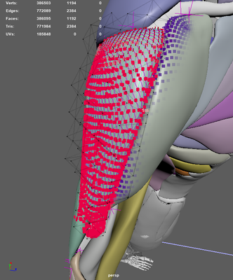 image (18).png