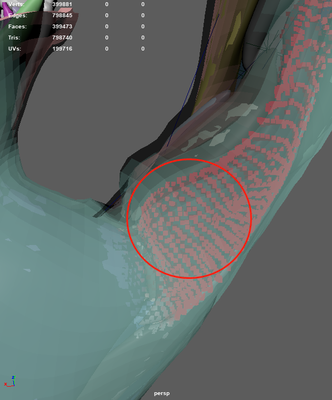 image (19).png